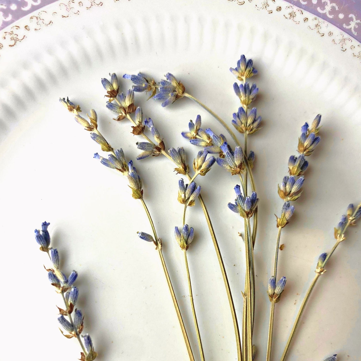 190er Stillkissen mit Hirse-Lavendel-Mischung
